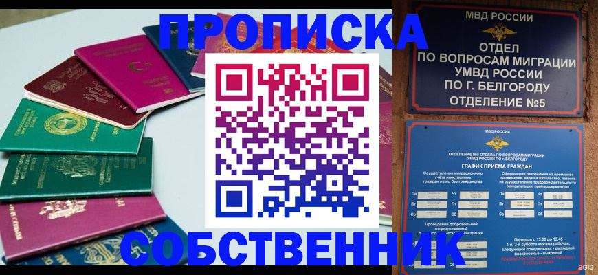 прописка гарантия в Бавлах
